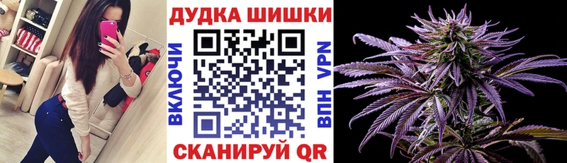 Конопля гибрид  Терек 